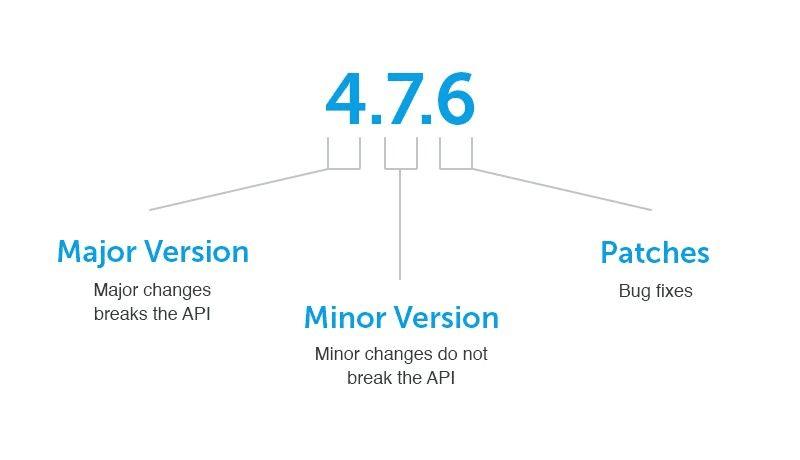 Software Versioning