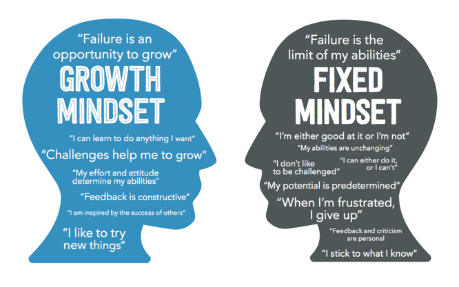 scracity-vs-growth